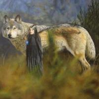 Lobos e Cães (Wolfs)